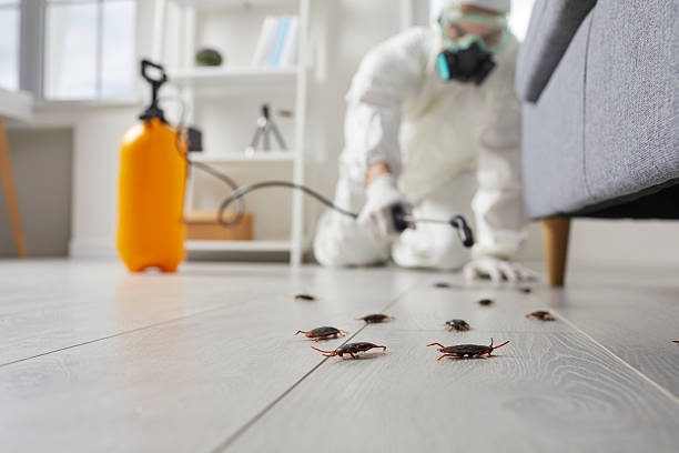 Commercial Kitchen Cockroach Control in Secaucus
